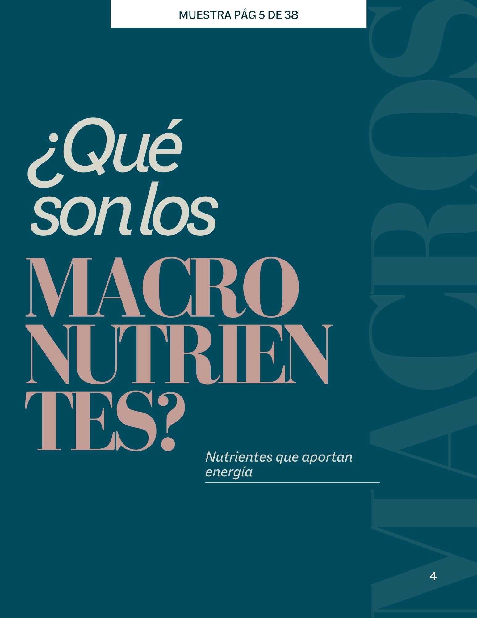 Guía de Macronutrientes - Aprende a comer según tus objetivos