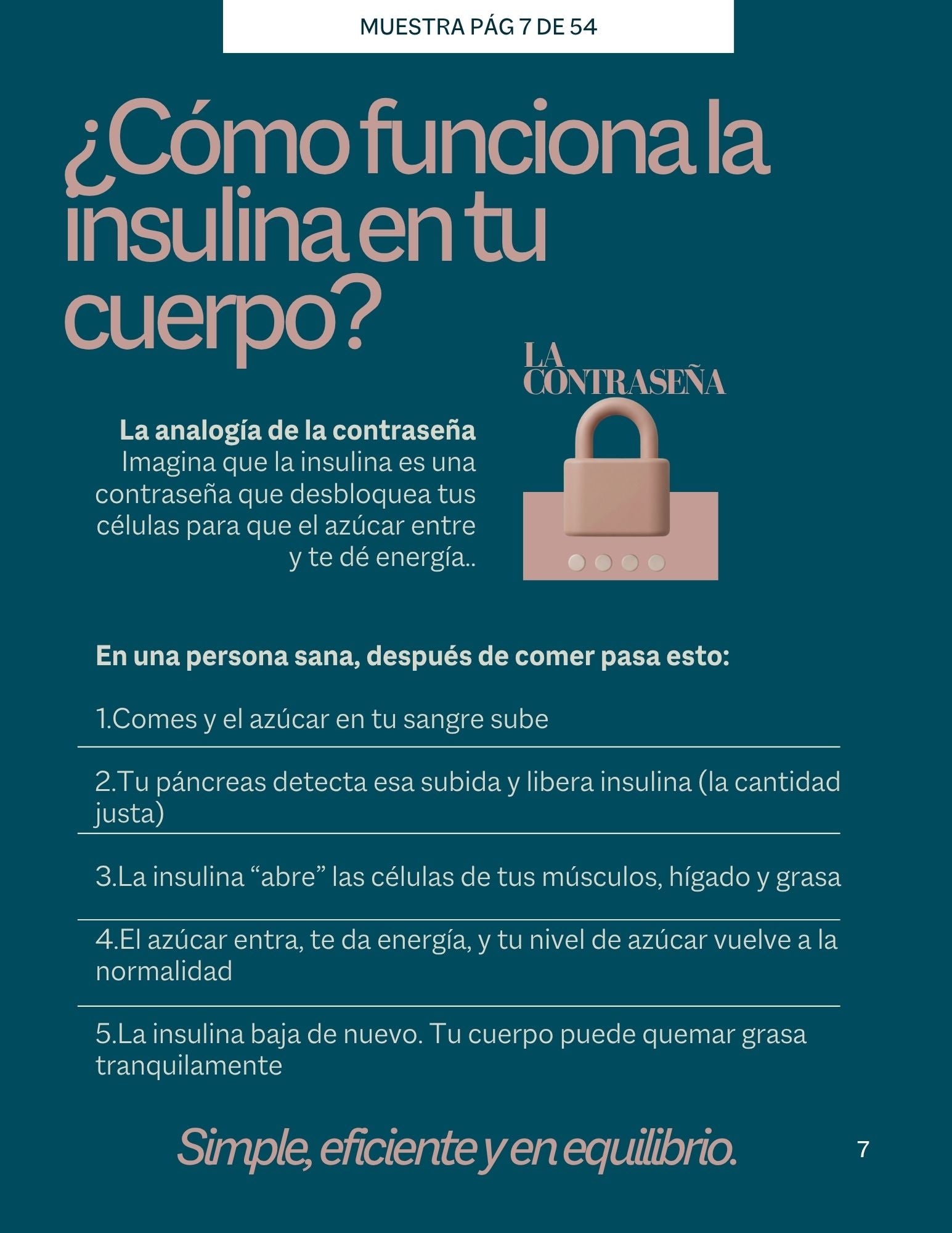 Guía de Resistencia a la Insulina.Todo lo que necesitas saber, explicado paso a paso.