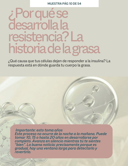 Guía de Resistencia a la Insulina.Todo lo que necesitas saber, explicado paso a paso.