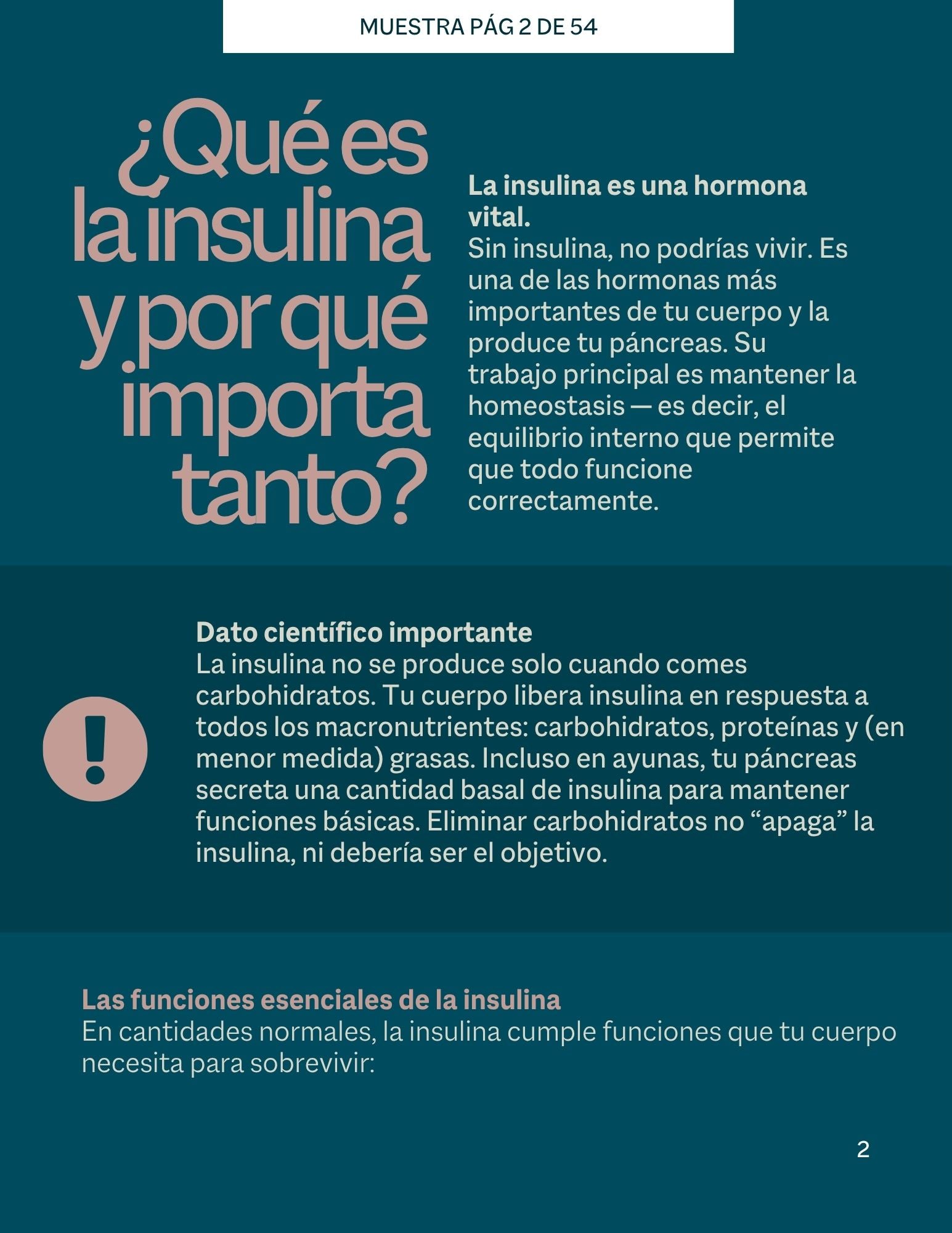 Guía de Resistencia a la Insulina.Todo lo que necesitas saber, explicado paso a paso.
