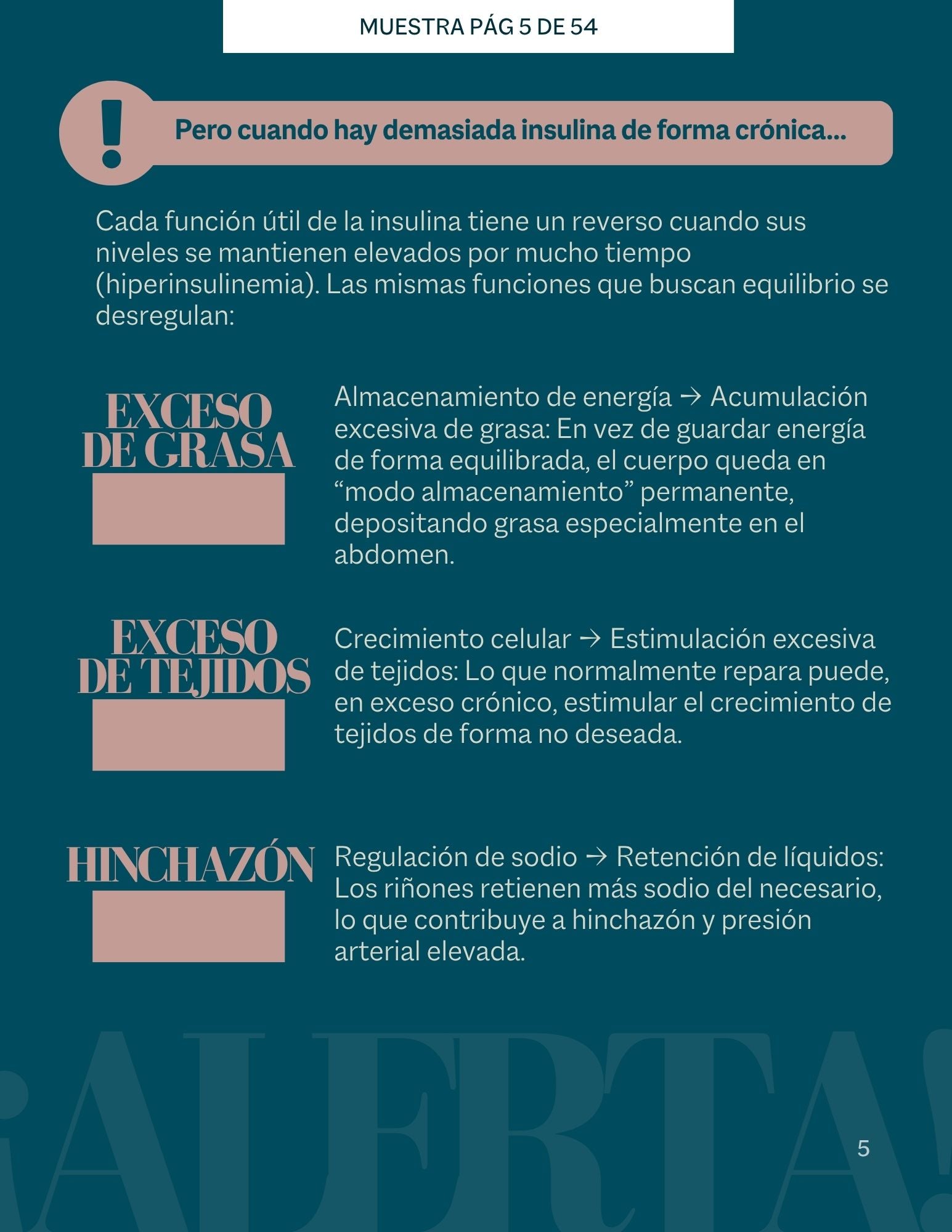 Guía de Resistencia a la Insulina.Todo lo que necesitas saber, explicado paso a paso.