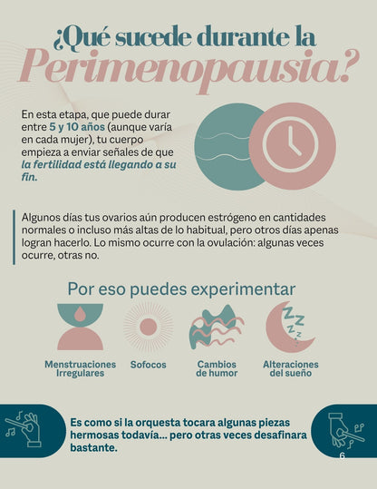 Guía de Perimenopausia
