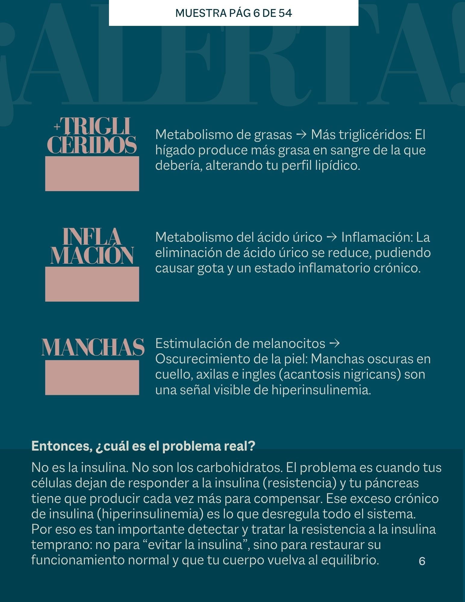 Guía de Resistencia a la Insulina.Todo lo que necesitas saber, explicado paso a paso.