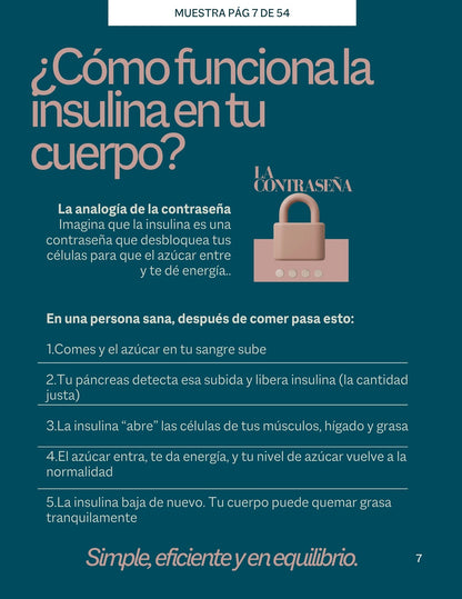 Guía de Resistencia a la Insulina.Todo lo que necesitas saber, explicado paso a paso.